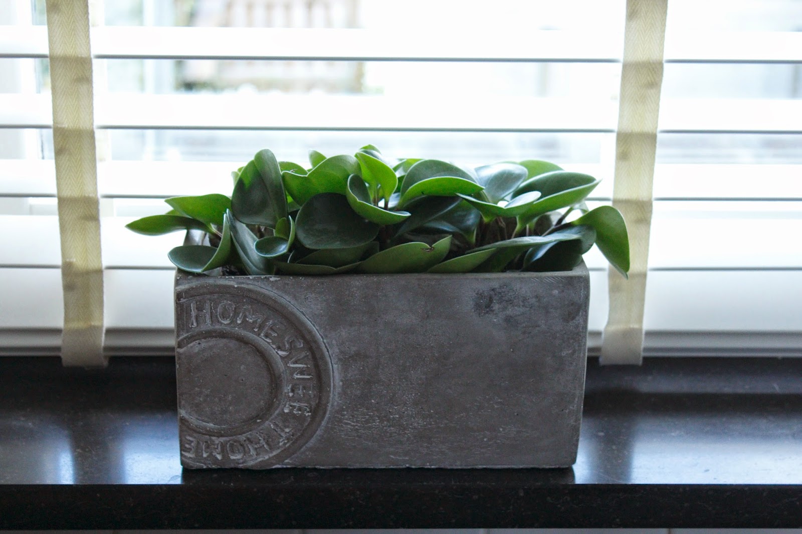 Lila ledikant: groen in huis