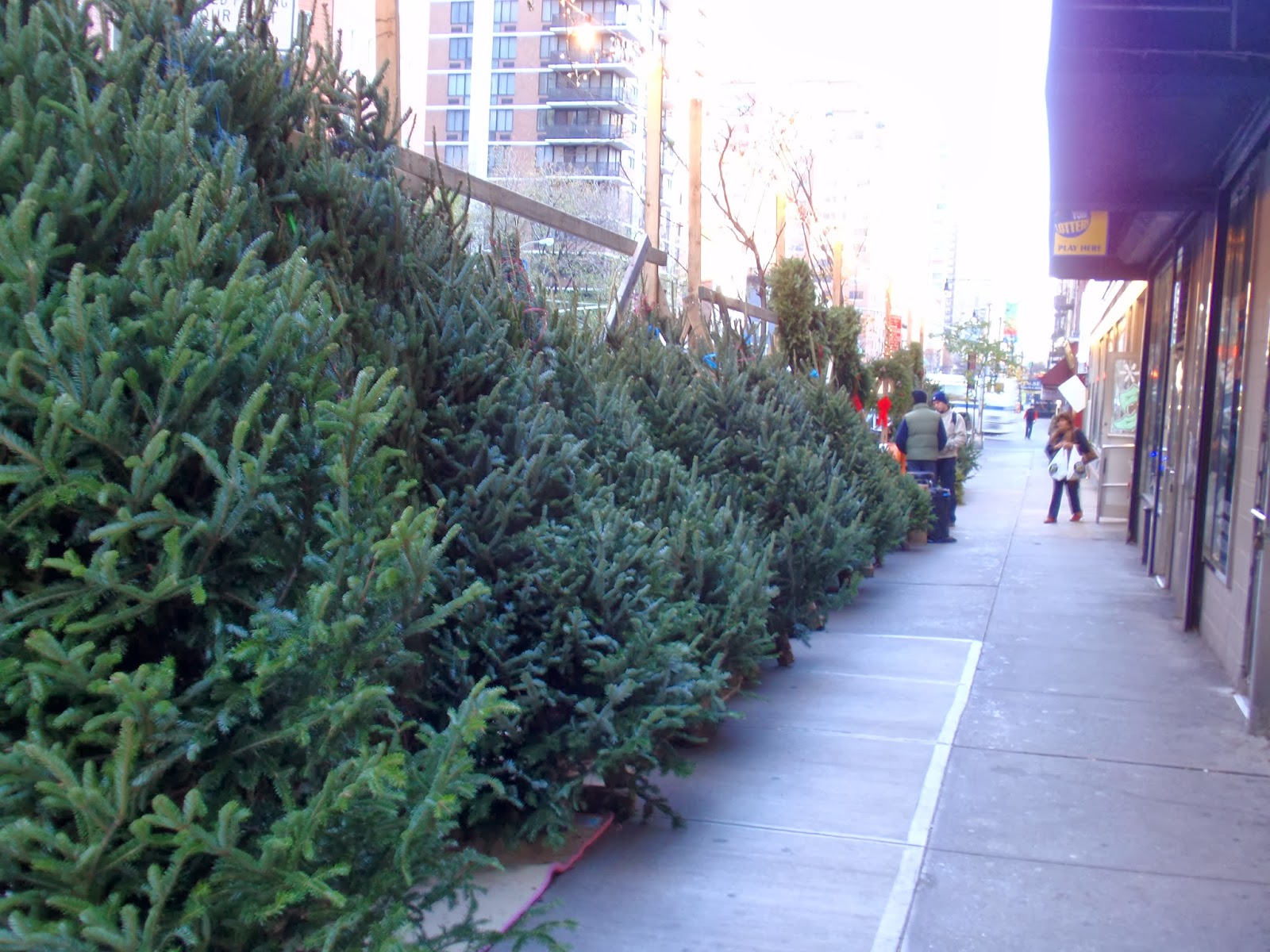 Tell Me a Story Full Black Ahead