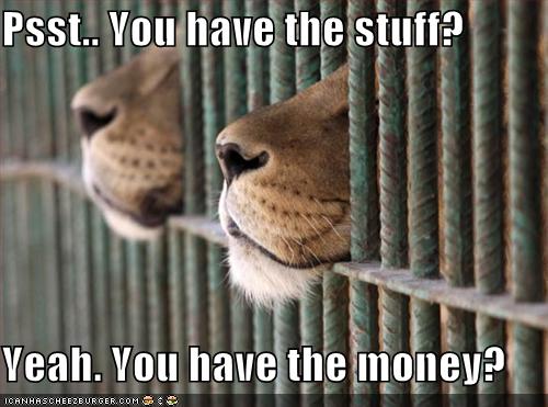 funny-pictures-lions-conduct-some-sort-of-fishy-deal.jpg