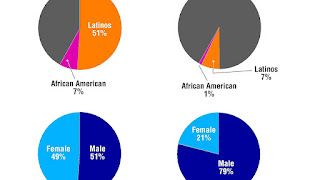 demographics stanford