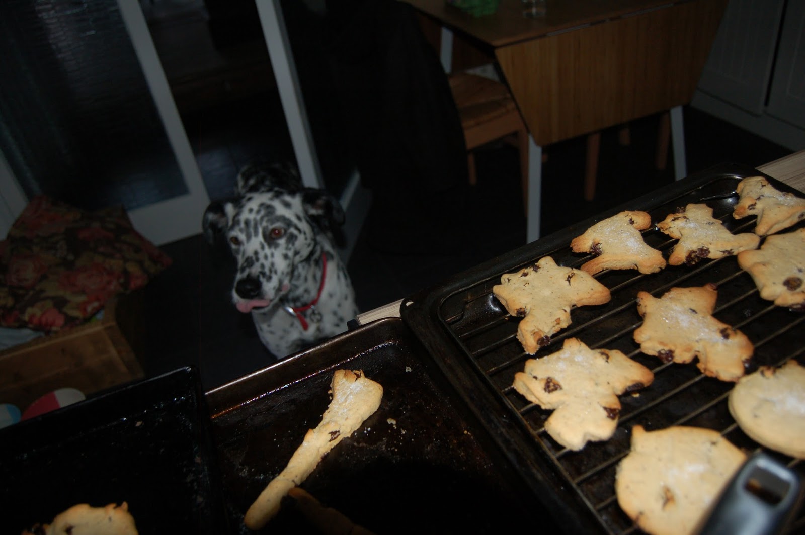 Cakes and ale Museum of Witchcraft and Magic