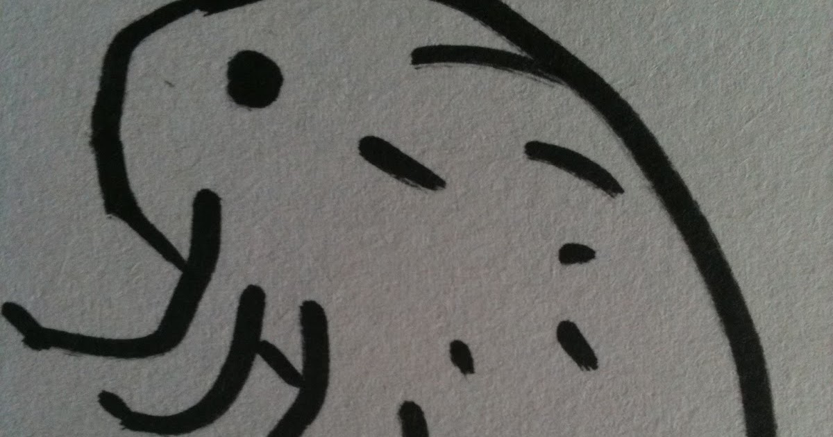 Confessions of a Livaholic Ohohoh, du armer Floh...