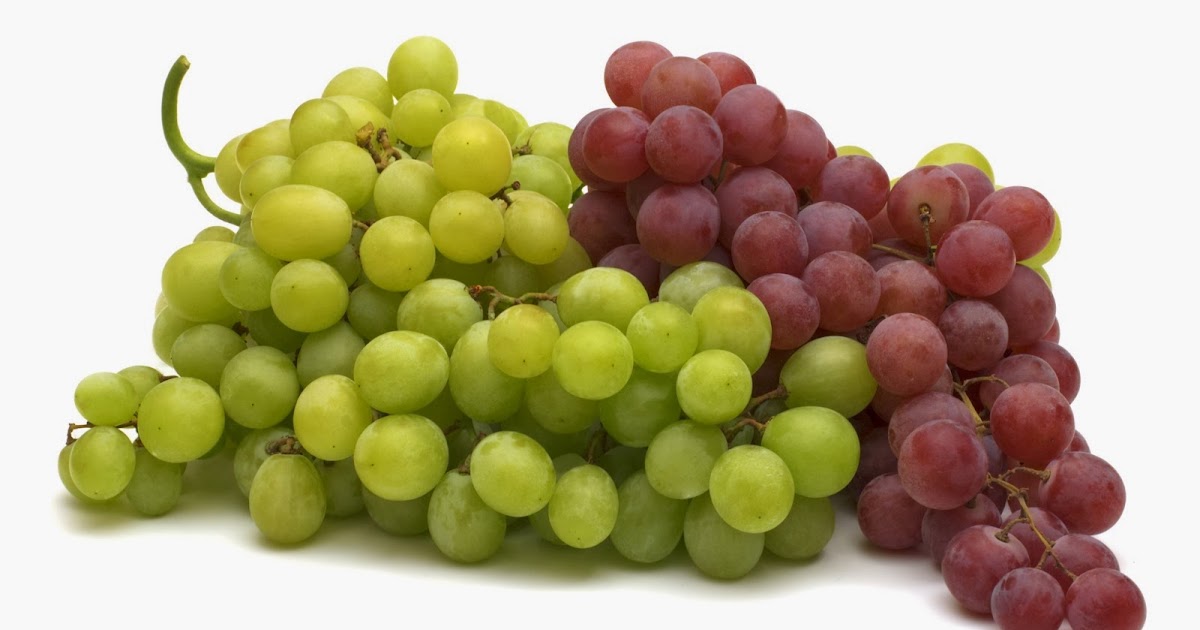 AgriHunt Maturity Signs and Harvesting of Grapes