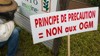 Monsanto Guilty of Chemical Poisoning in France - Principe de Precaution NON aux OGM
