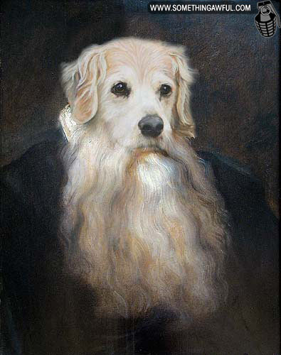 Beard Dog
