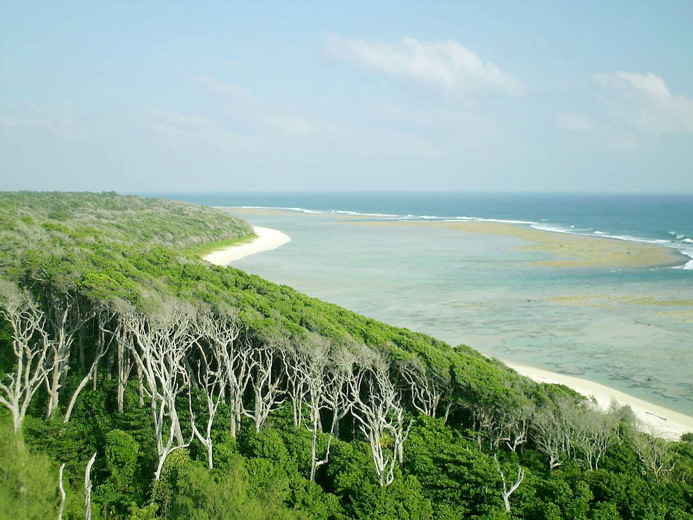 andaman and nicobar island Expedia add-on advantage: book a package & unlock up to 50% off select hotels terms apply book your trip in andaman and nicobar islands and save with. andaman and nicobar island Expedia add-on advantage: book a package & unlock up to 50% off select hotels terms apply book your trip in andaman and nicobar islands and save with.