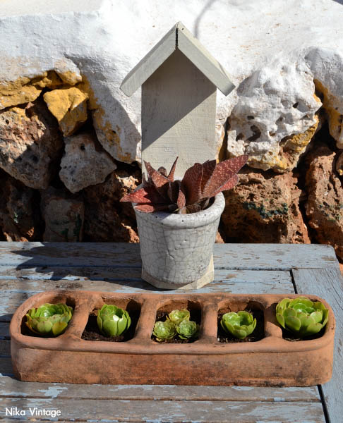 Diy comedero de aves + crasas - suculentas - NIKA VINTAGE