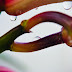 Photo a Day 349/365