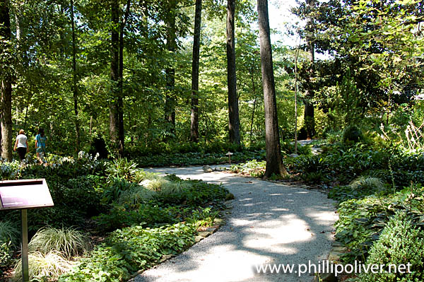 Trip to Memphis - Dixon Gallery Gardens