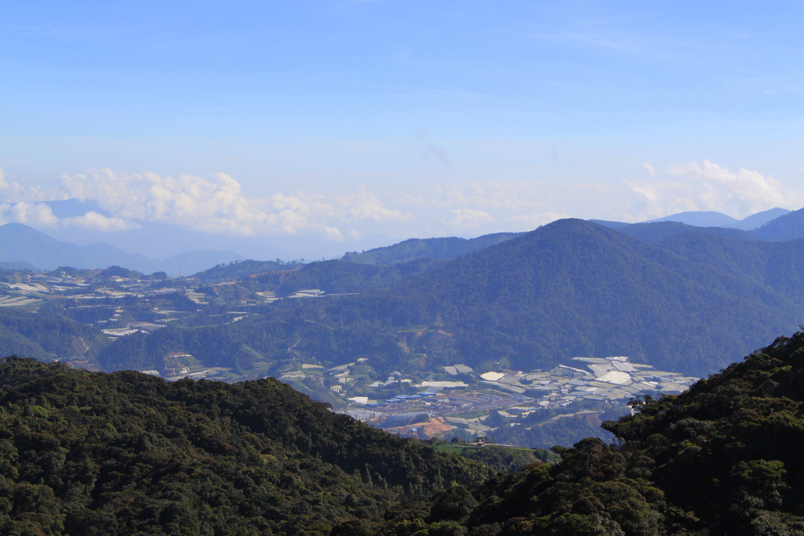 Cameron Highlands - Mont Brinchang