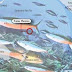Gugusan Pulau Phoenix di Negara Kiribati