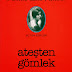 Halide Edib Adıvar - Ateşten Gömlek (Kitap Özeti)