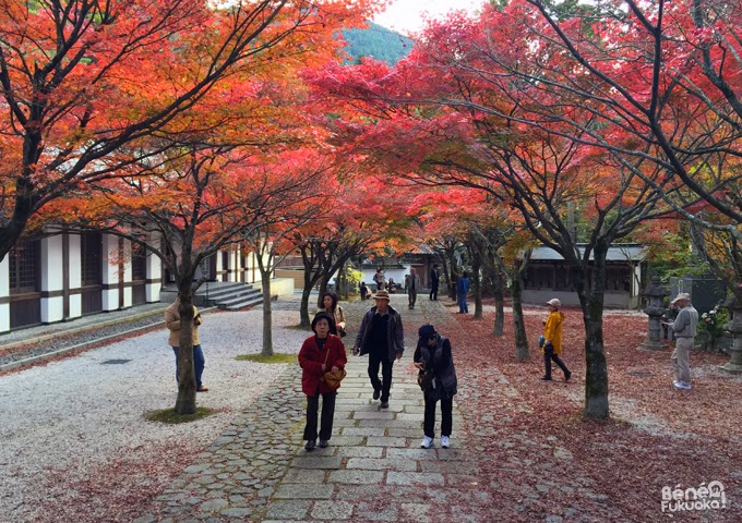 Momiji au Nomiyama Kannon Momiji au Nomiyama Kannon