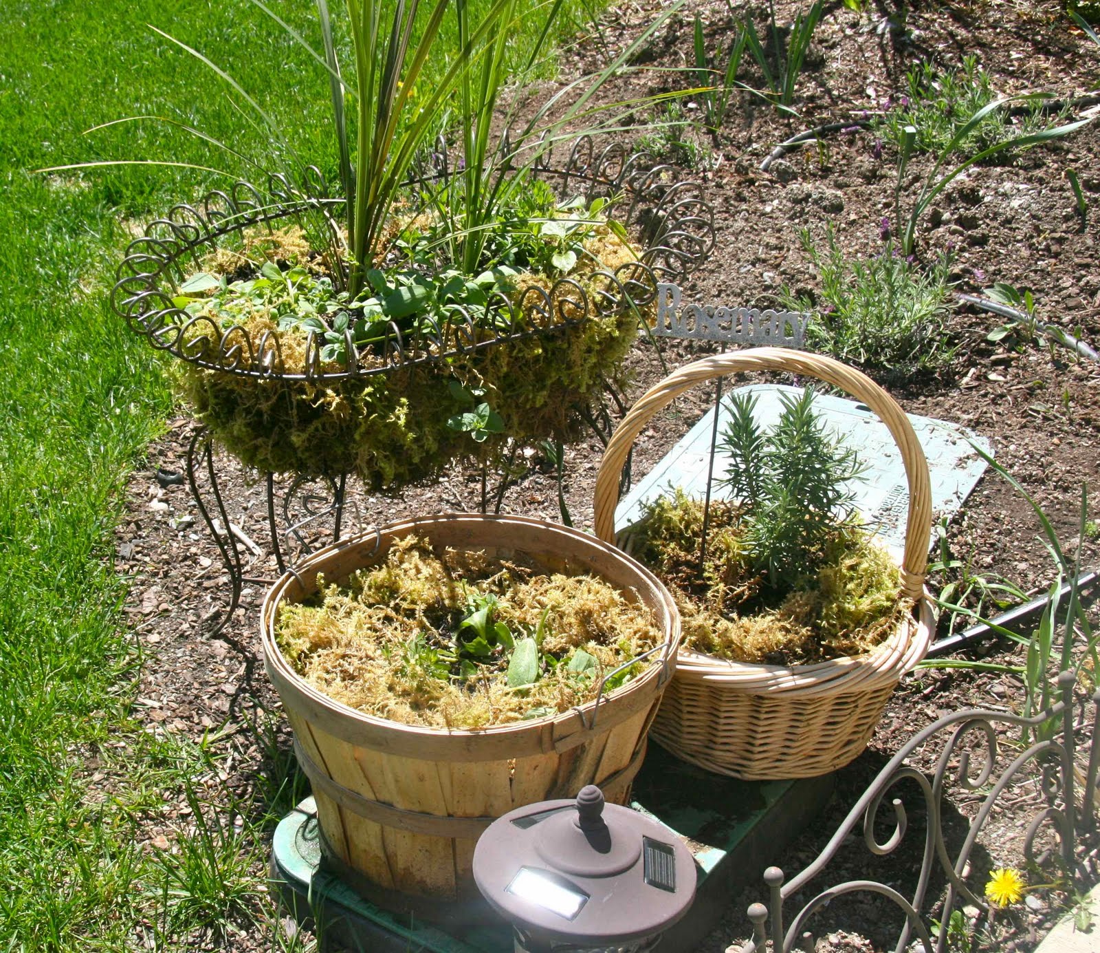 How to Make Creative Garden Containers Krista Gilbert
