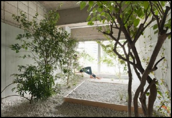 Garden Decor: 2011 Creative Garden Wall Decor