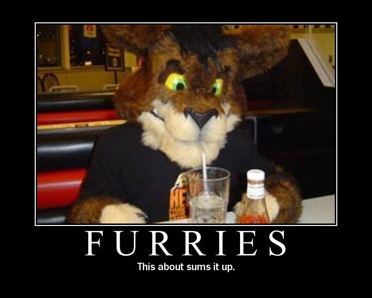 furry.jpg