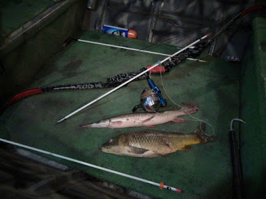 bowfishing