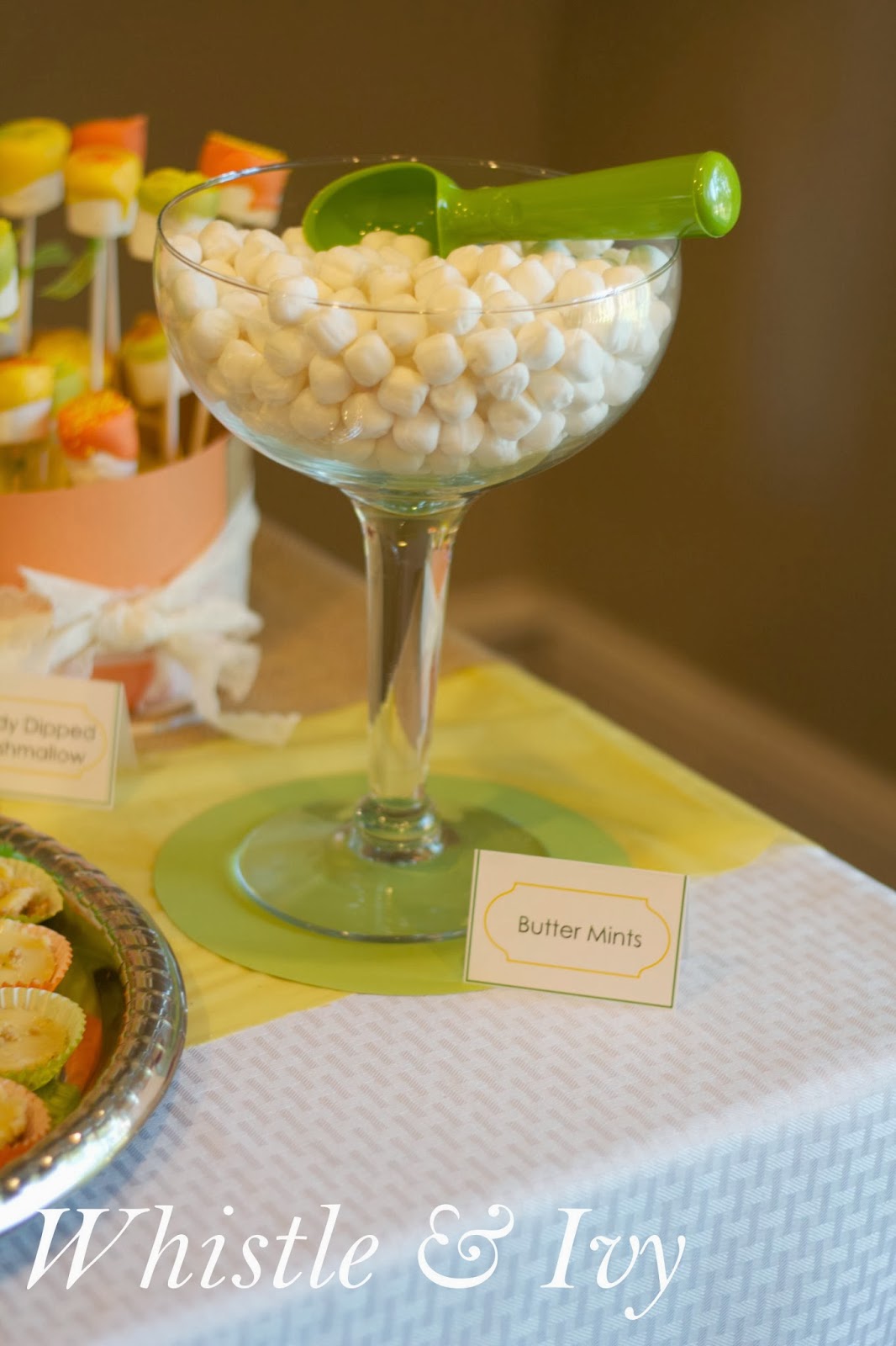 Citrus Baby Shower Whistle and Ivy