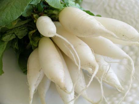 radish can prevent cancer