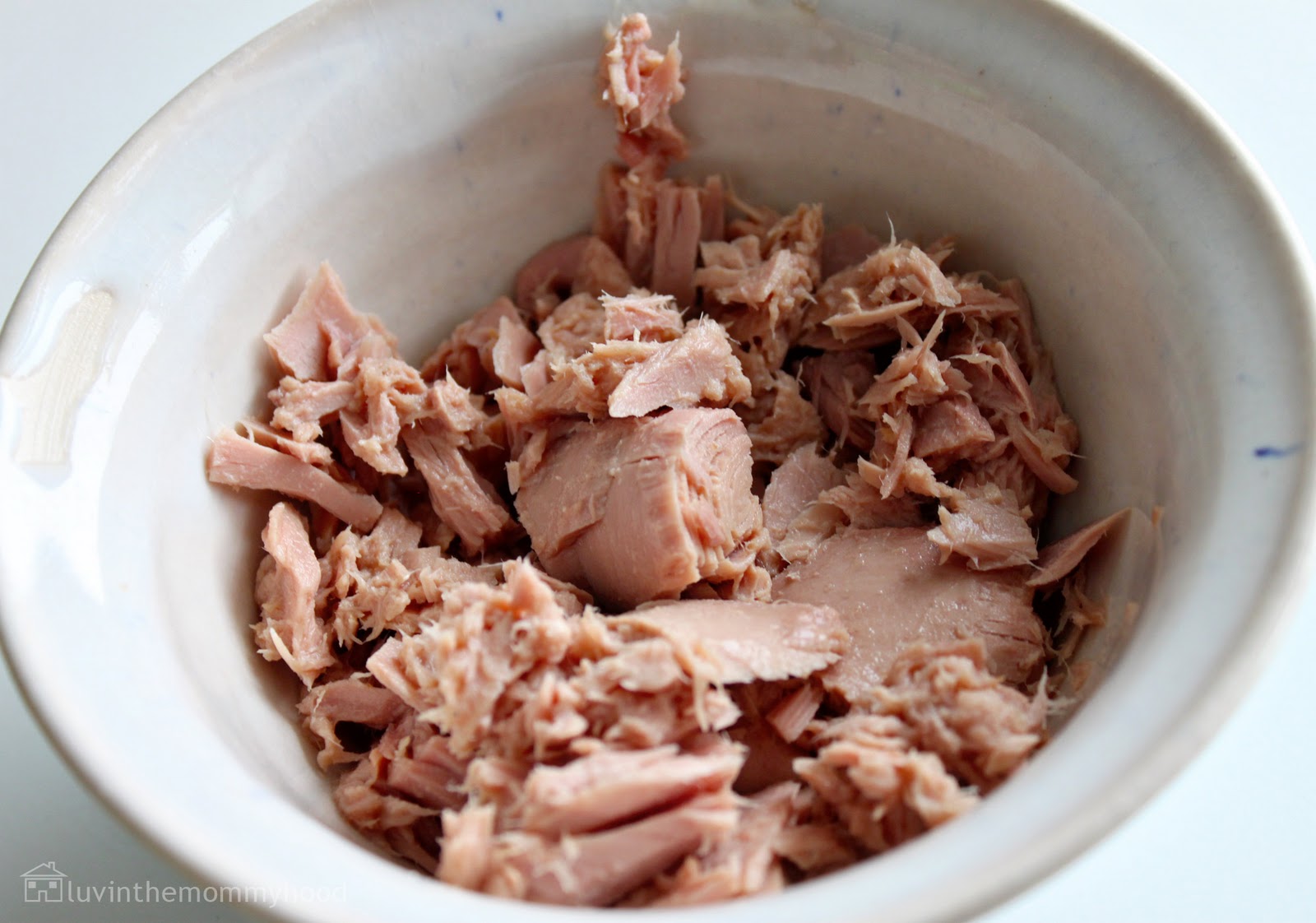 Simply Modern Mom » OverUsed Recipes Toasted Tuna From Luvinthemommyhood