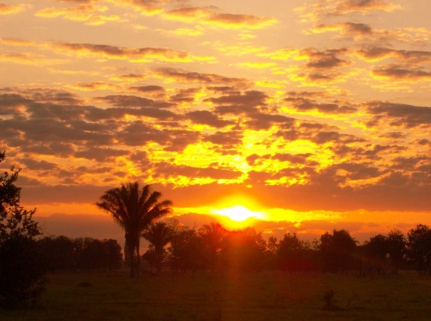 El Llano