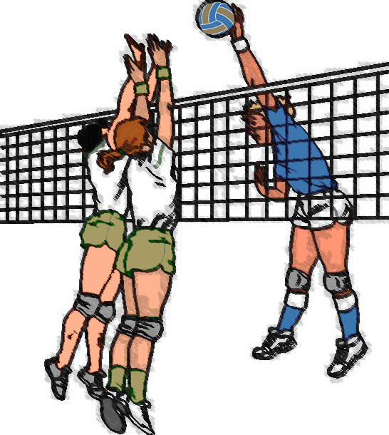 Dunia Olahraga: Sejarah Olahraga Volly