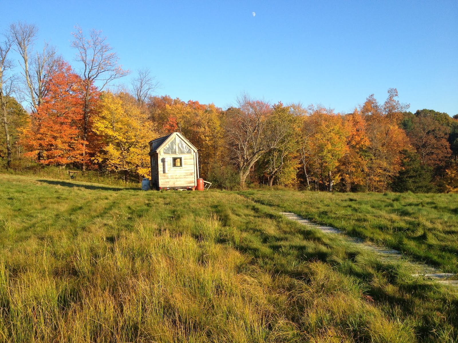 Gold Thread Tiny House