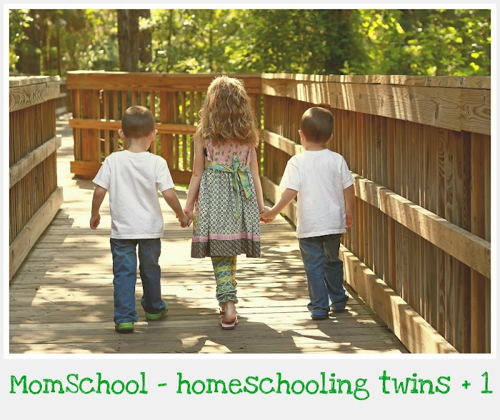 MomSchool - homeschooling twins + 1