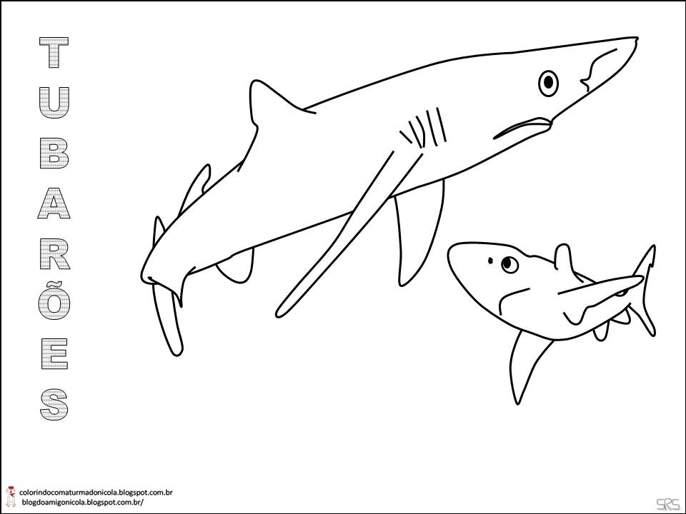 Desenho de Tubarão azul para colorir Desenhos para - imagens para colorir de tubarão