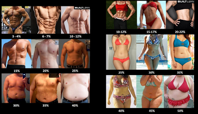 Body+Fat+Percentage+-+Men+and+Women.PNG