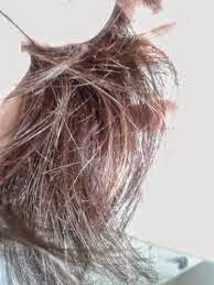 Pantene protezione giovinezza 7 Pantene protezione giovinezza 7 provati per voi tester desideri magazine