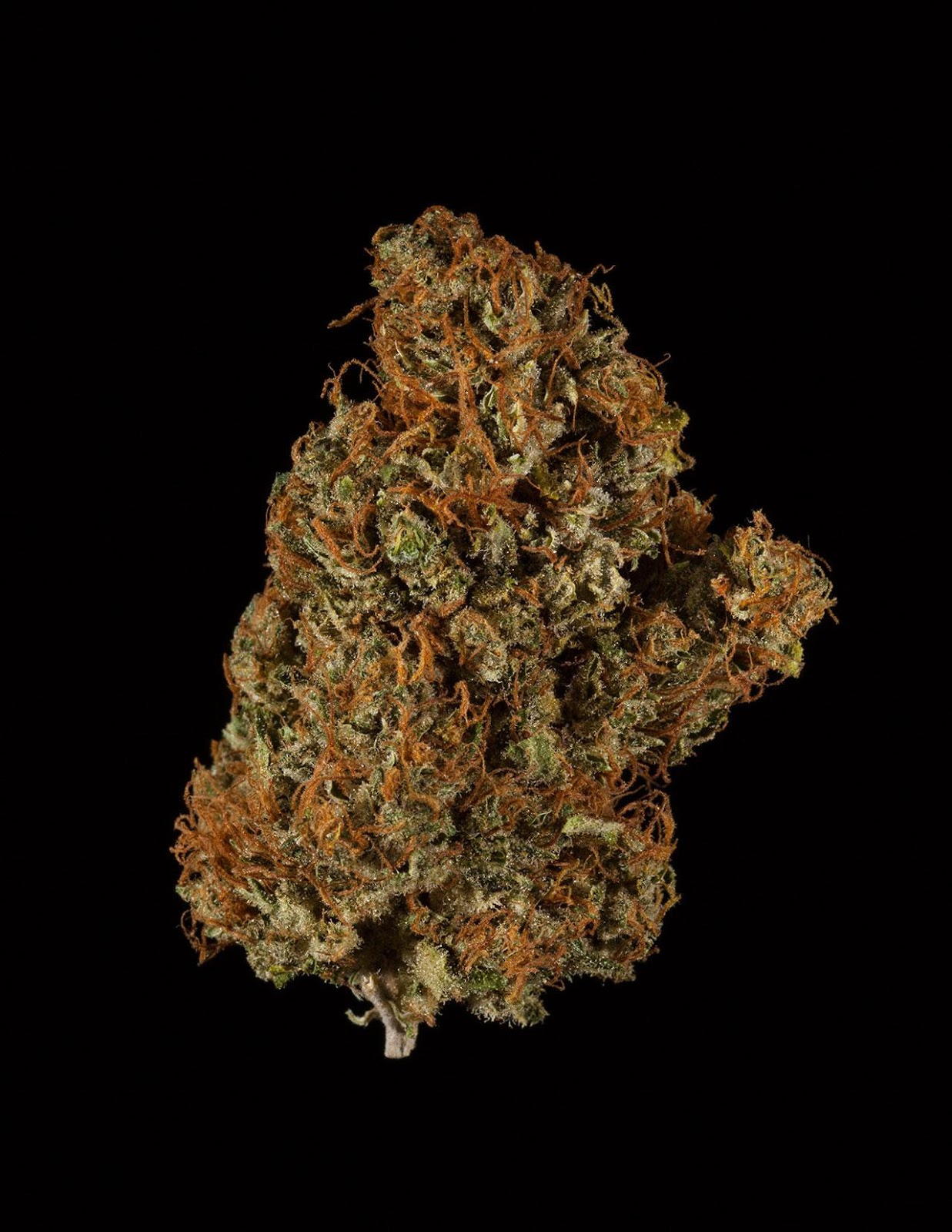 Sunkiss CBD Sunkiss CBD