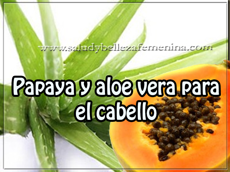 Papaya y aloe vera para el cabello Cuidados del cabello , tips de belleza, papaya y aloe vera para el cabello