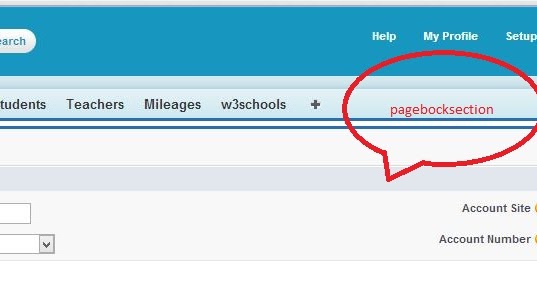 How To Use Apex Pageblocksection In Visualforce Page Sfdc Gurukul