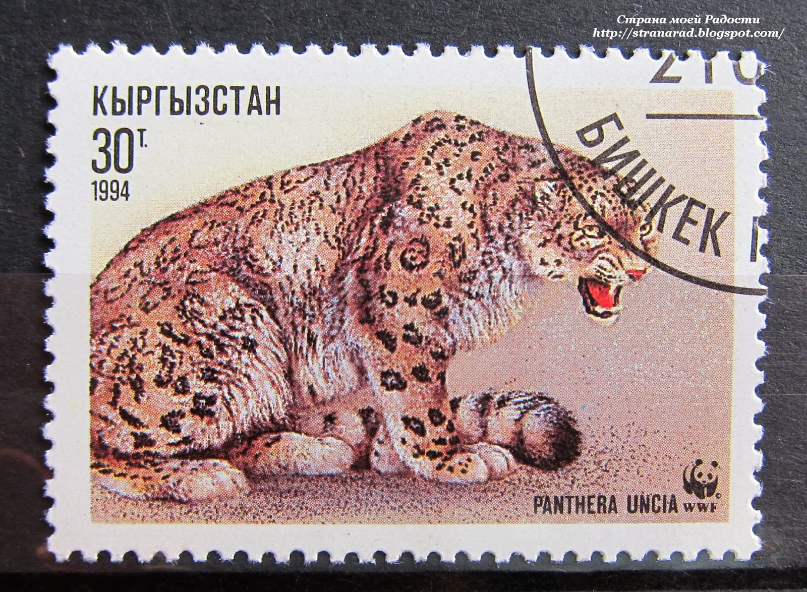 почтовые марки Кыргызстана дикие кошки на почтовых марках