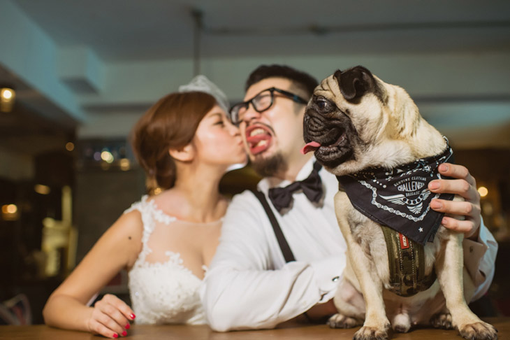 Самые забавные свадебные фото 2015