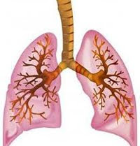 viral lung infection