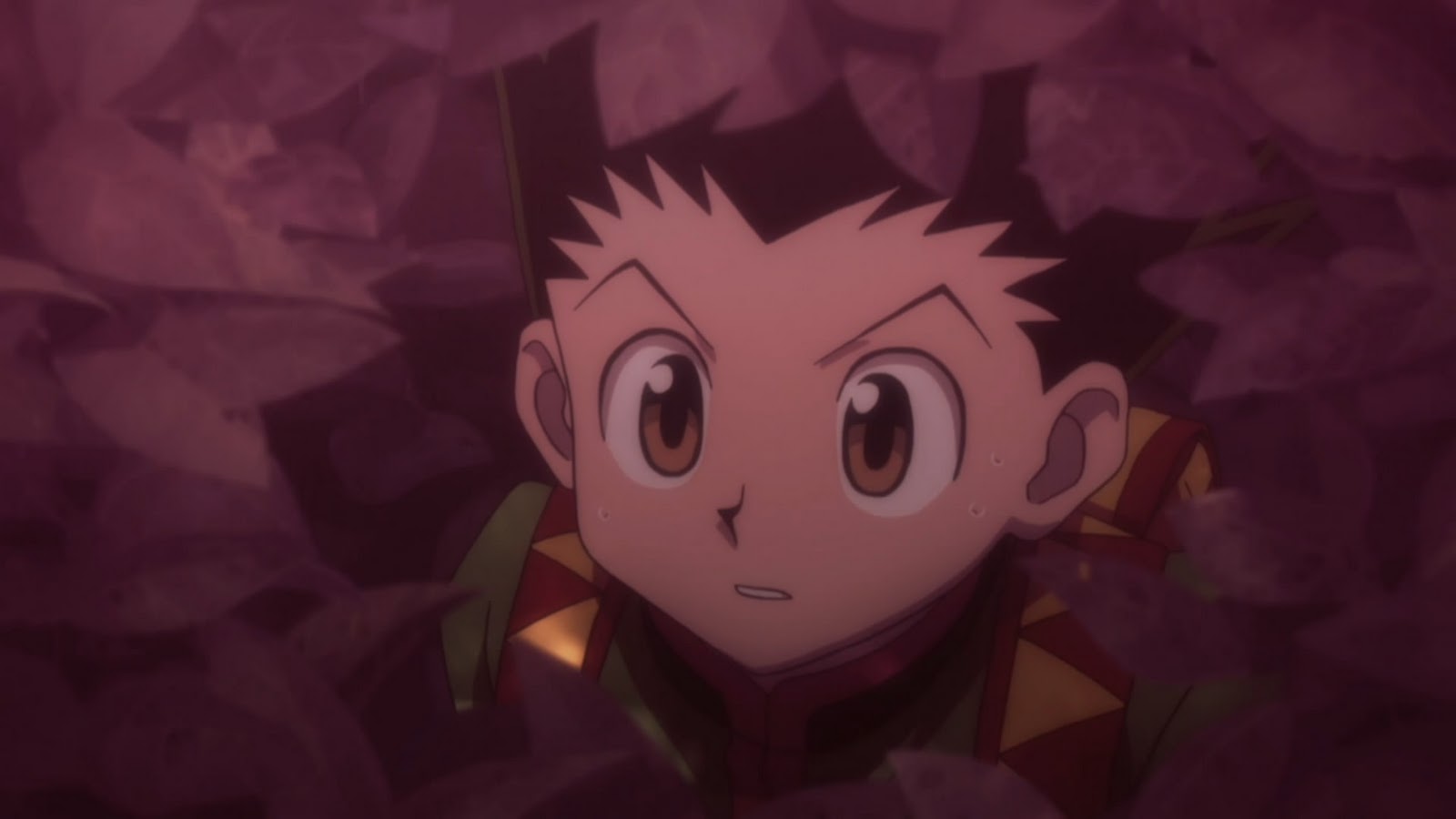 Hunter x Hunter 2011 - 16 - Lost in Anime