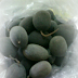 Buah Yang Semakin Di Lupakan