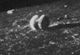 alien news june 1st alien news june 1st