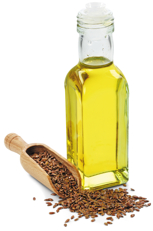 BEST OILS TO BURN BELLY FAT NATURALLY Natural Fitness Tips