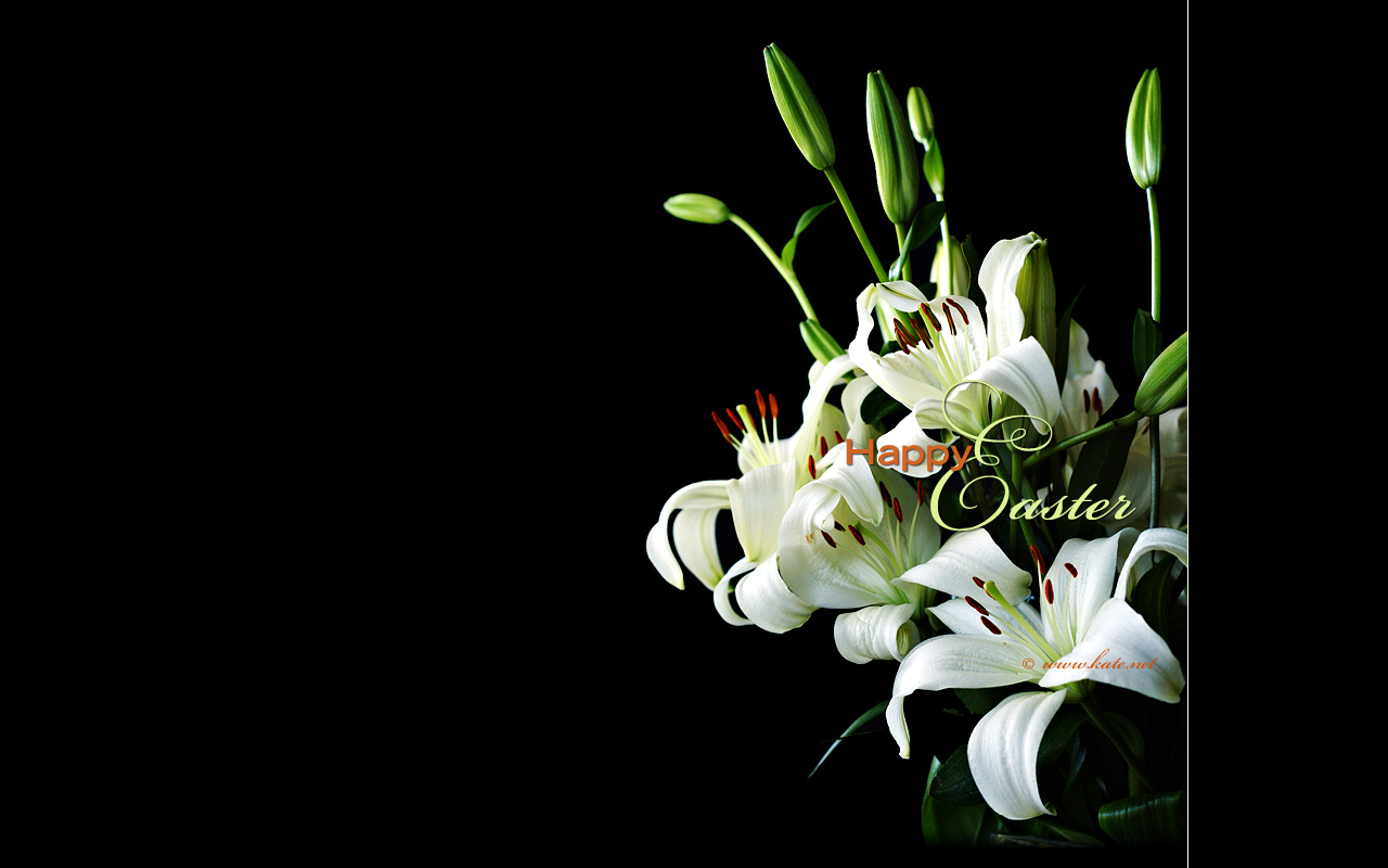 Lily Happy Easter Religious Background Images