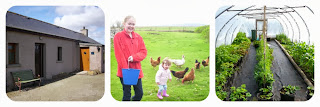 North Wald Self Catering Cottage on Orkney. Feeding the Chickens. The polytunnel.