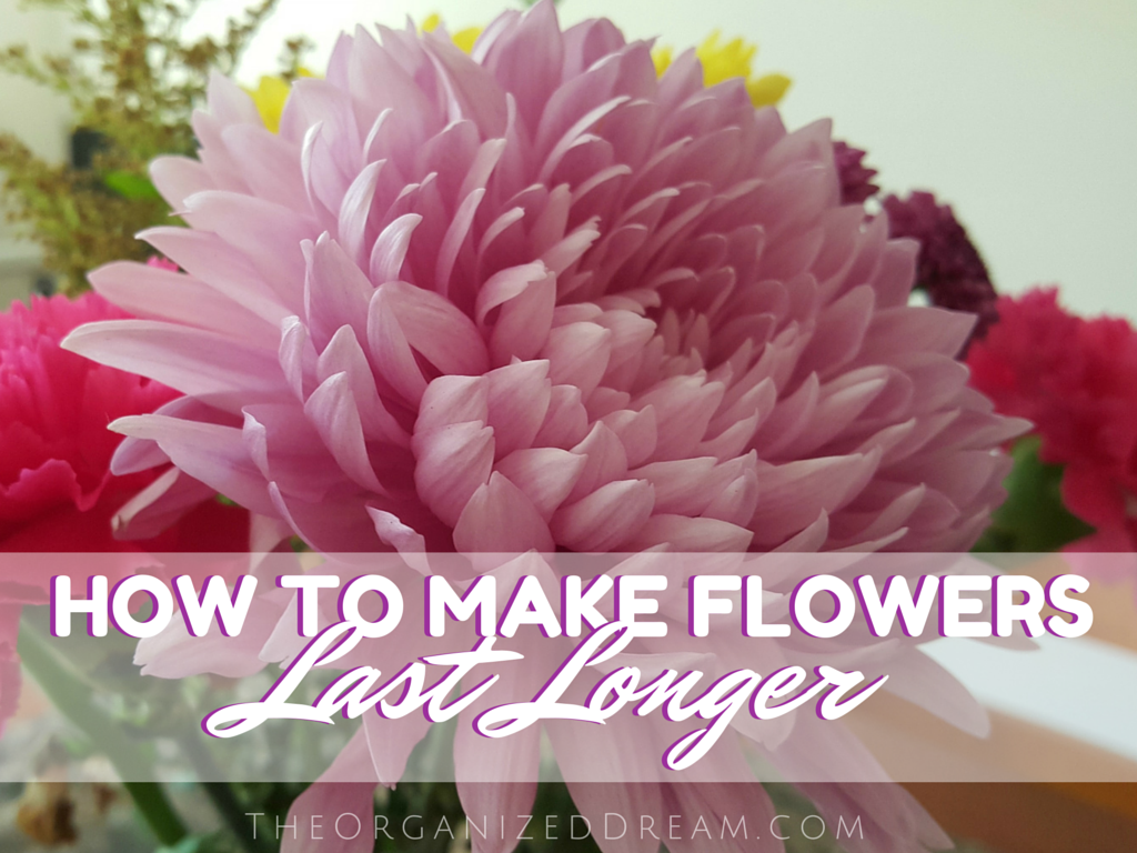 How To Make Flowers Last Longer The Organized Dream