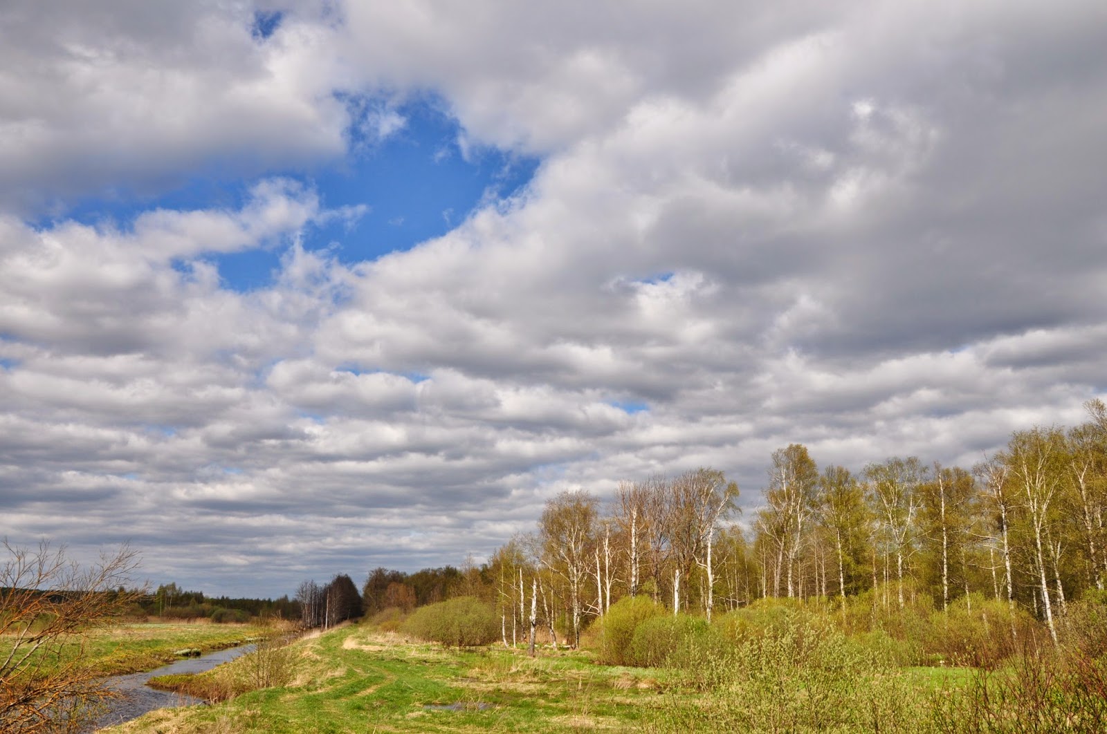 My photo planet: Windy day