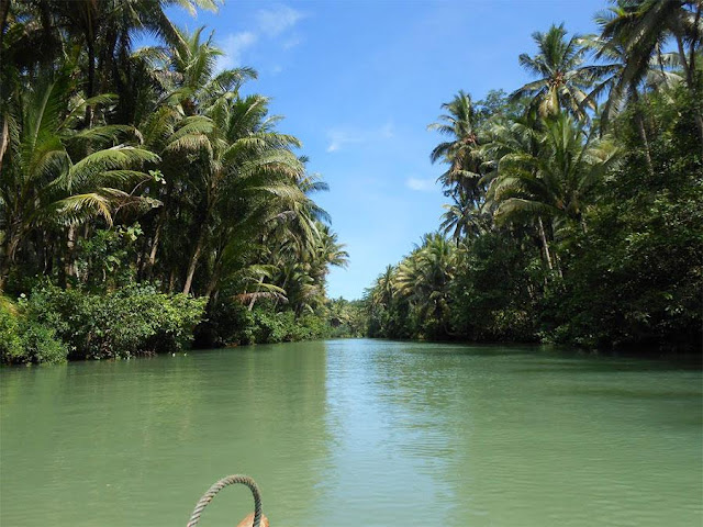 pemandangan alam di sungai maron pemandangan alam di sungai maron