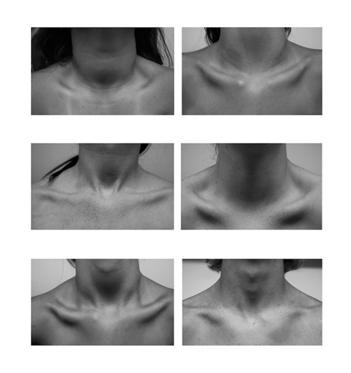 All Hail The Blogger Family