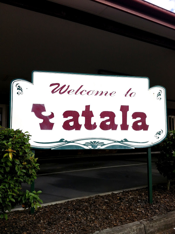 Yatala Pies, Yatala, Queensland - my name is Food.