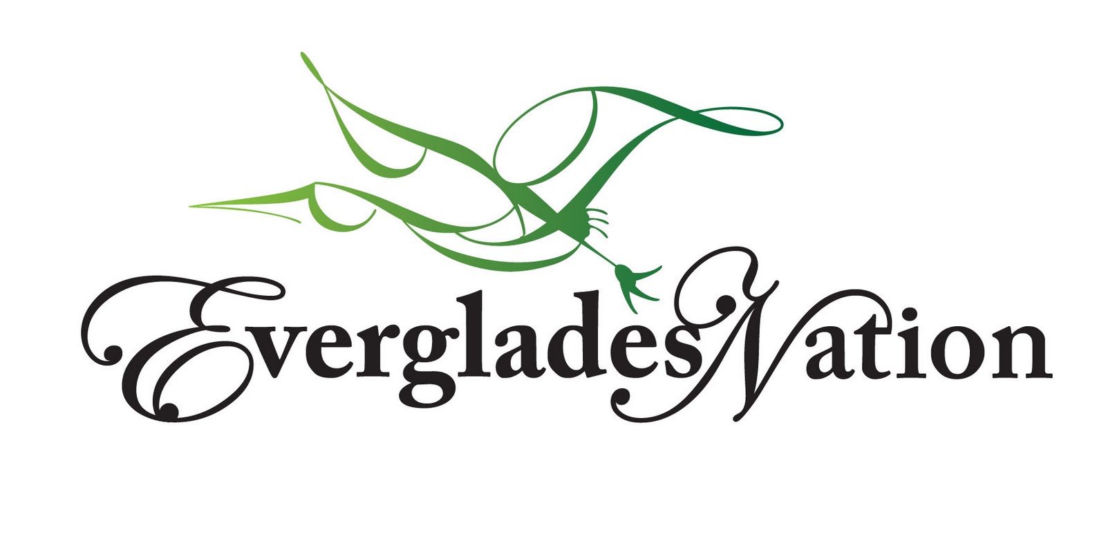 MavenGraphics. Brand Steward. Professor. Connector of the Dots