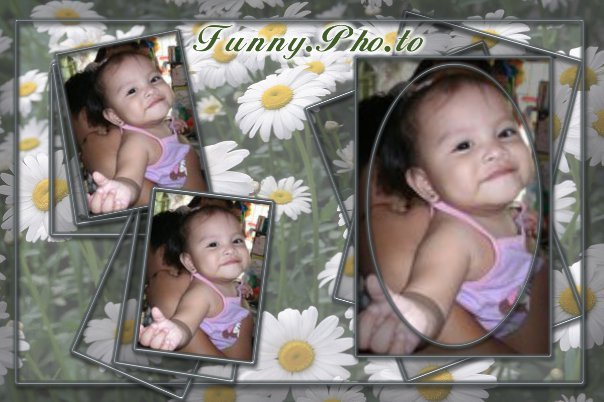 Funny Photo Widget